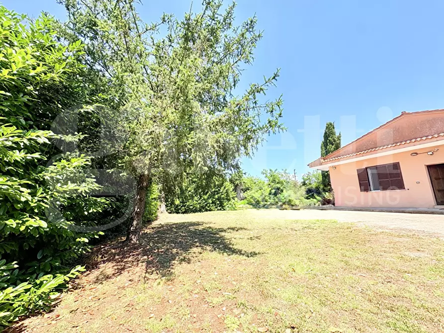 Immagine 5 di Villa in affitto  in Via Latina, 27 a Colleferro