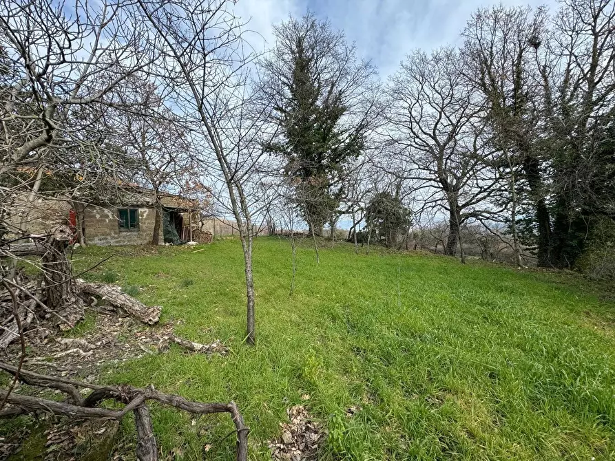 Immagine 16 di Appartamento in vendita  in Via del Poggetto, 4 a Sorano