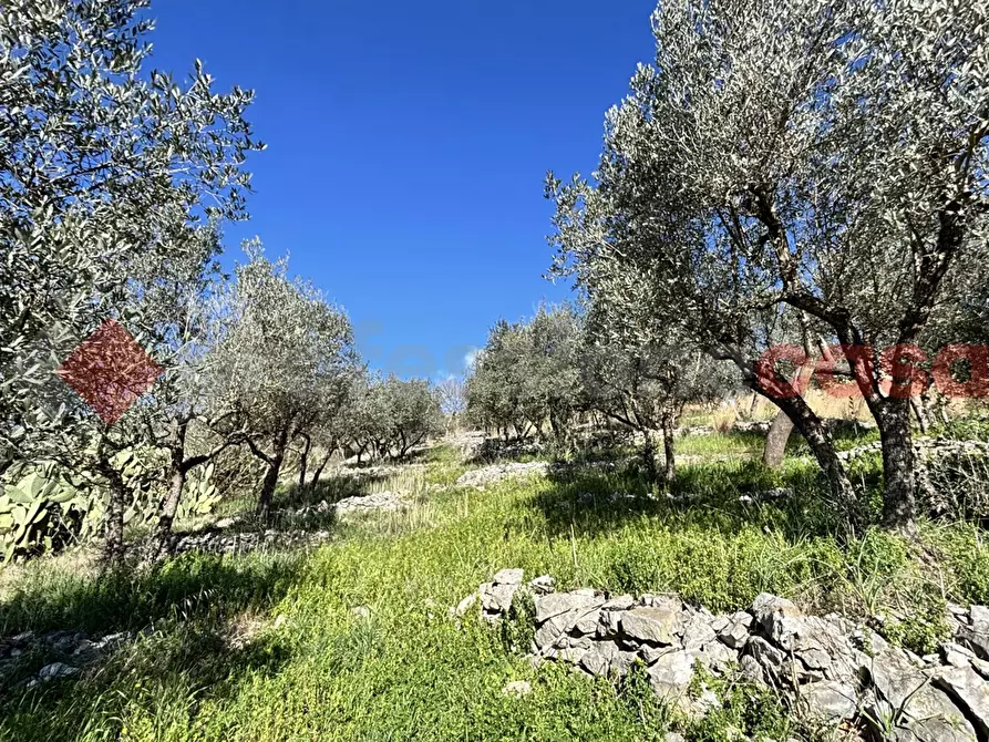 Immagine 13 di Rustico / casale in vendita  in Via Montereo, 32 a Alatri