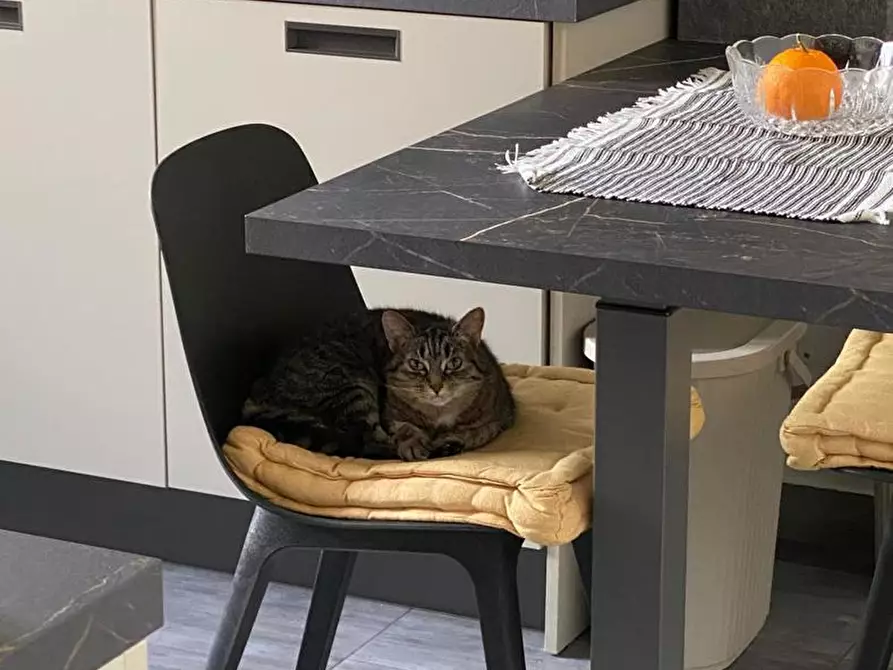 Immagine 14 di Appartamento in vendita  in Via martorella a Forli'