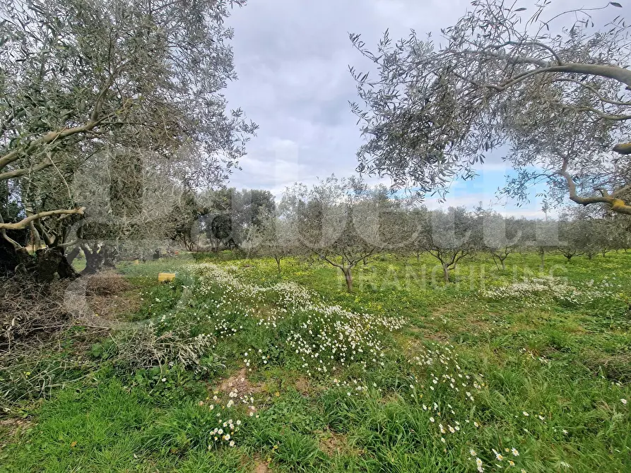 Immagine 5 di Terreno residenziale in vendita  in Via ss131, snc a Sestu