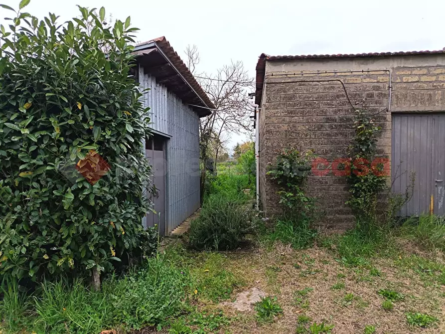 Immagine 7 di Terreno agricolo in vendita  in Strada Vicinale Ponte del Papa, snc a Anagni