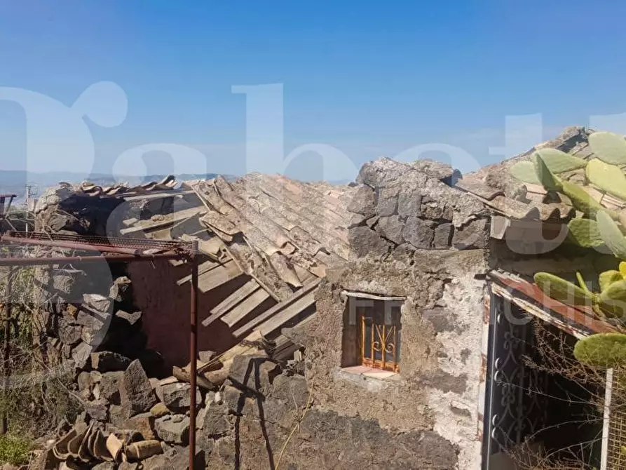 Immagine 5 di Terreno agricolo in vendita  in Contrada Mancusi Soprana, S.N.C a Santa Maria Di Licodia