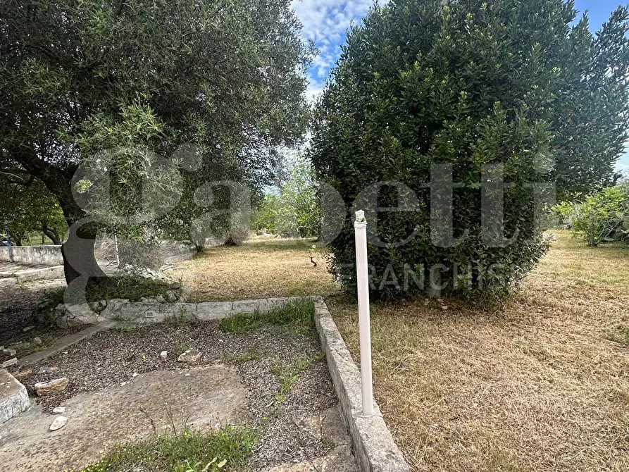 Immagine 12 di Villa in vendita  in Contrada Acquarella, sn a Ostuni