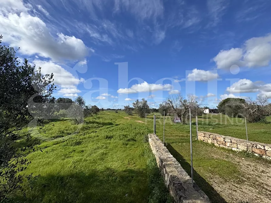 Immagine 3 di Terreno agricolo in vendita  in Via Fiume, 101 a Galatina