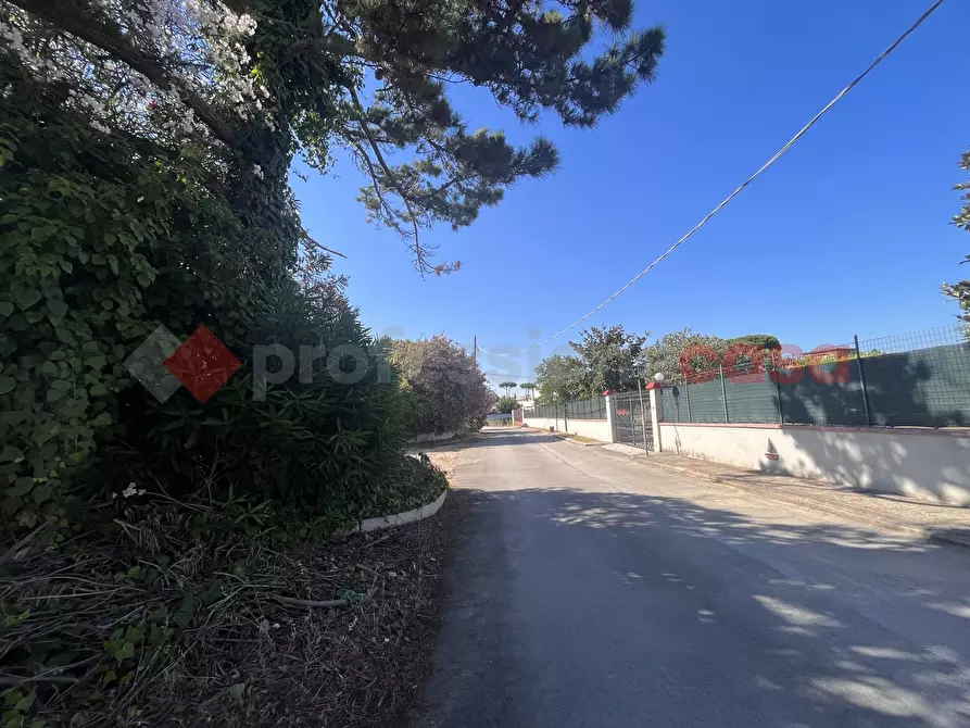 Immagine 15 di Terreno agricolo in vendita  in Via RESIDENCE I PIOPPI, 1 a Terracina