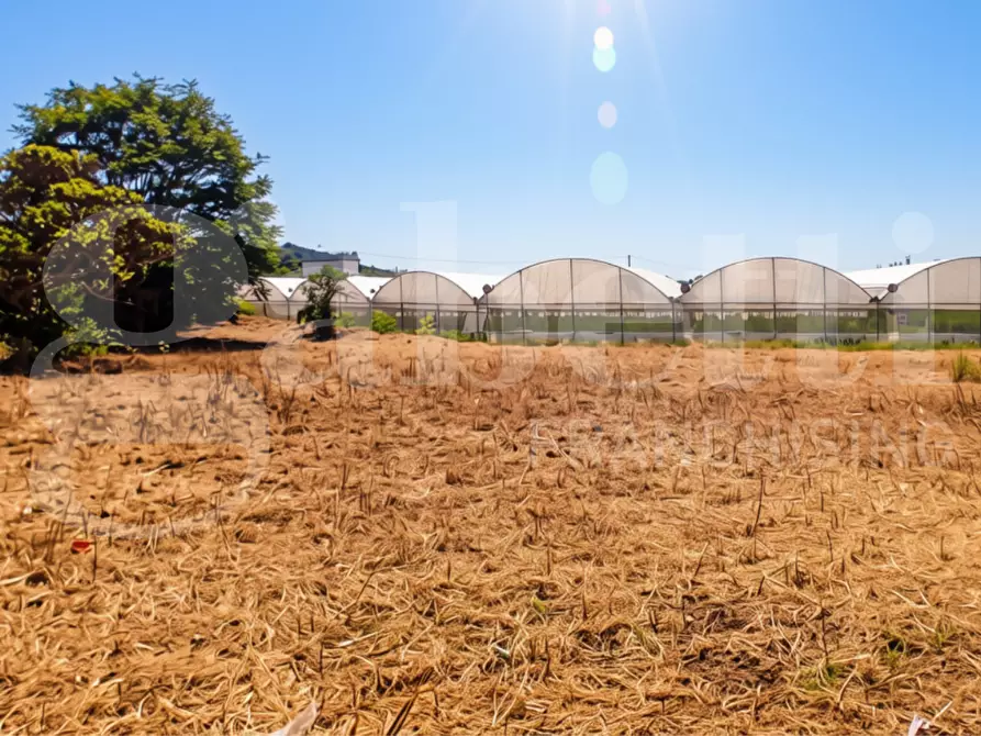 Immagine 1 di Terreno agricolo in vendita  in LocalitÃ  San Vito, s.n.c. a Gaeta