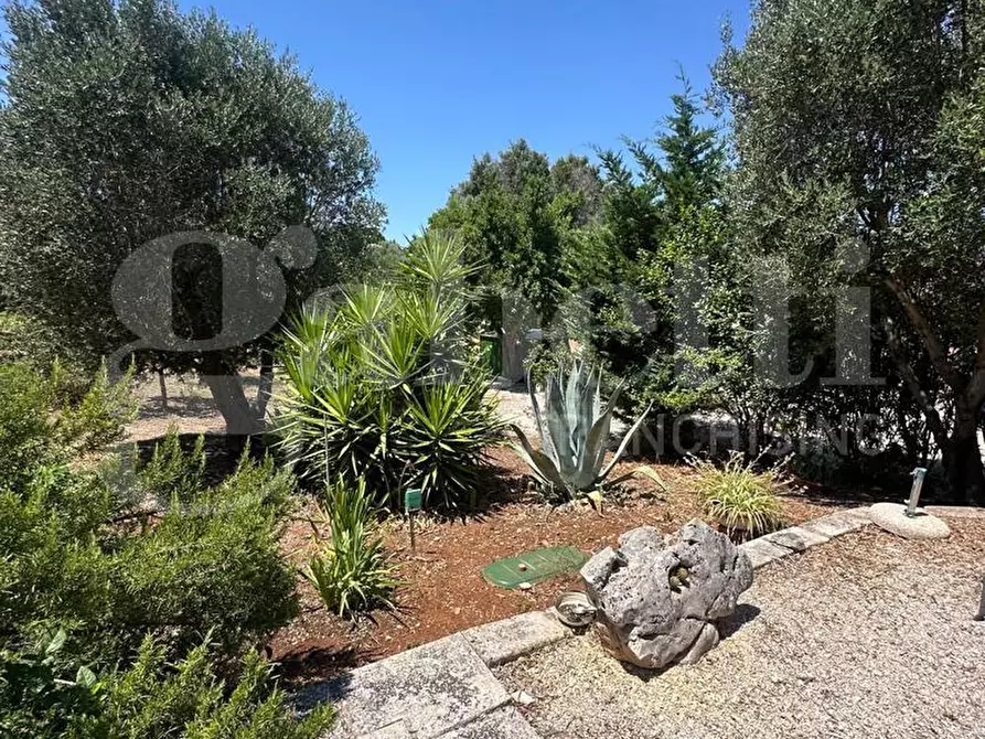 Immagine 37 di Villa in vendita  in Contrada Certosa, sn a Ostuni