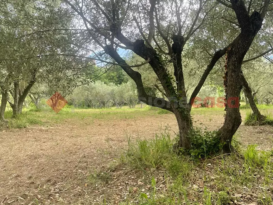 Immagine 10 di Casa indipendente in vendita  in Via paterno, snc a Anagni