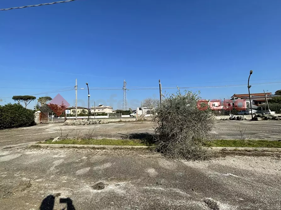 Immagine 14 di Terreno agricolo in vendita  in Via PONTINA, KM101,600 a Terracina