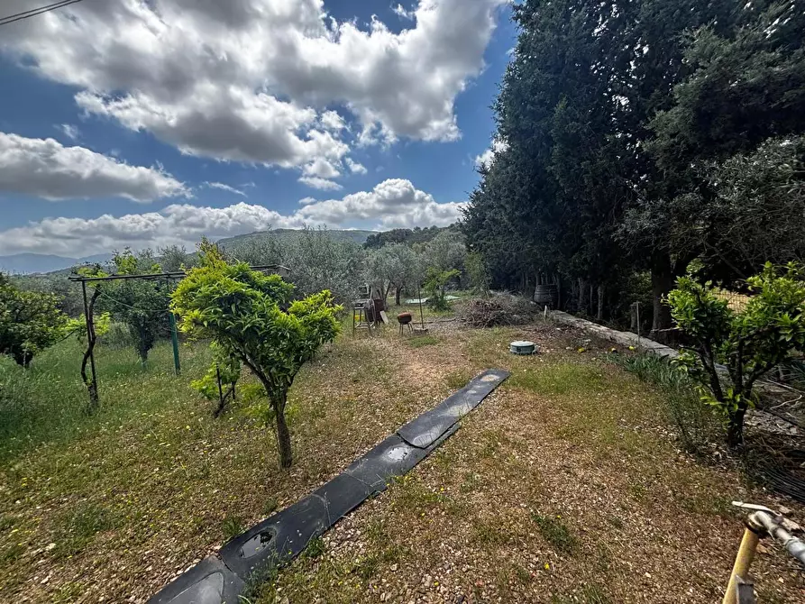 Immagine 3 di Appartamento in vendita  in Via Frazione Is Cherchis, snc a Narcao