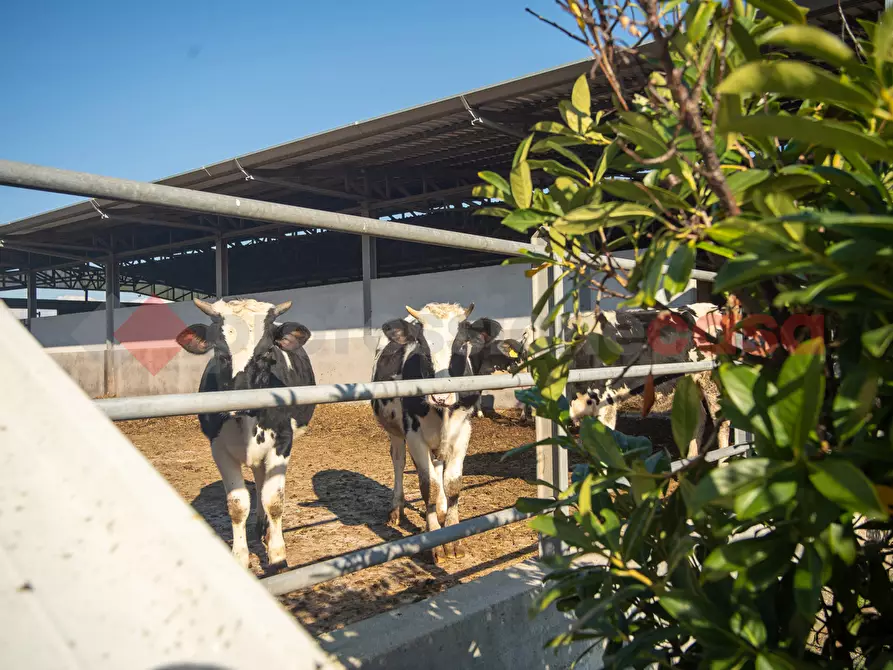 Immagine 37 di Casa indipendente in vendita  in Via PONTE MAGGIORE, 1 a Terracina