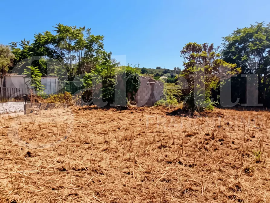 Immagine 3 di Terreno agricolo in vendita  in LocalitÃ  San Vito, s.n.c. a Gaeta