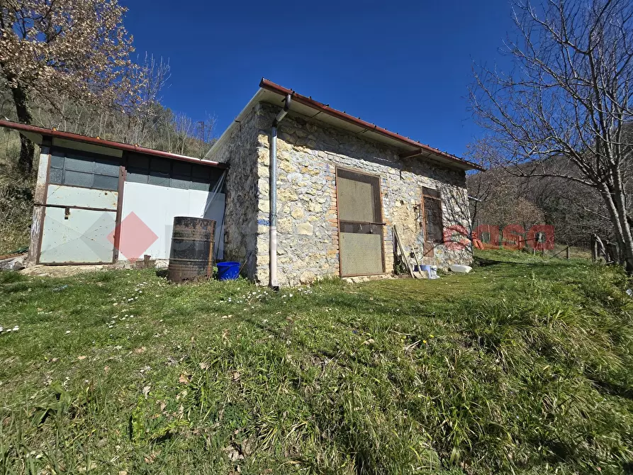 terreno agricolo in vendita a Rieti