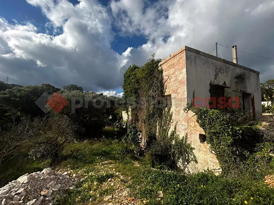 Immagine 5 di Rustico / casale in vendita  in Contrada bellocchio a Monopoli