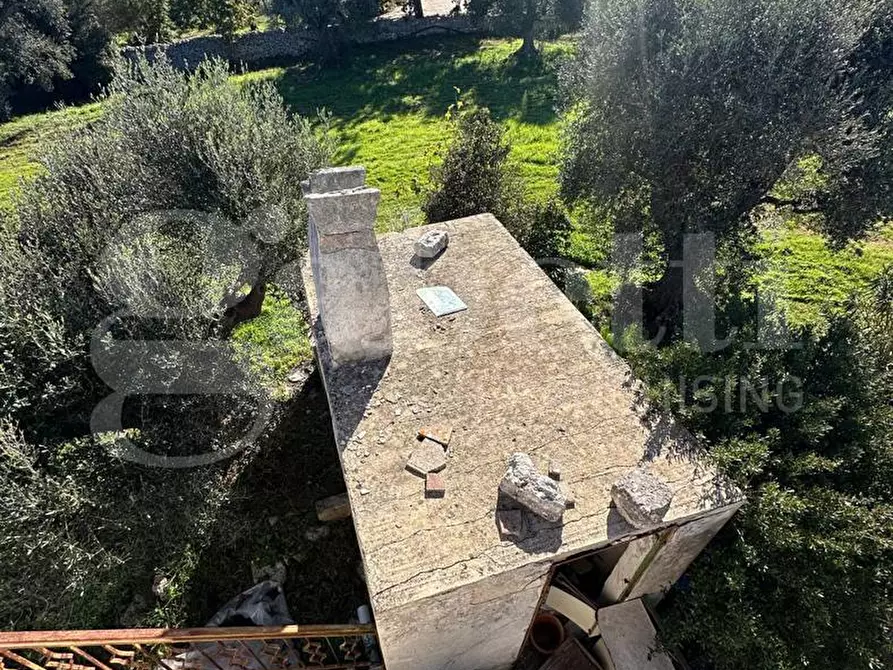 Immagine 18 di Villa in vendita  in Contrada Sessana Piccola, sn a Ostuni