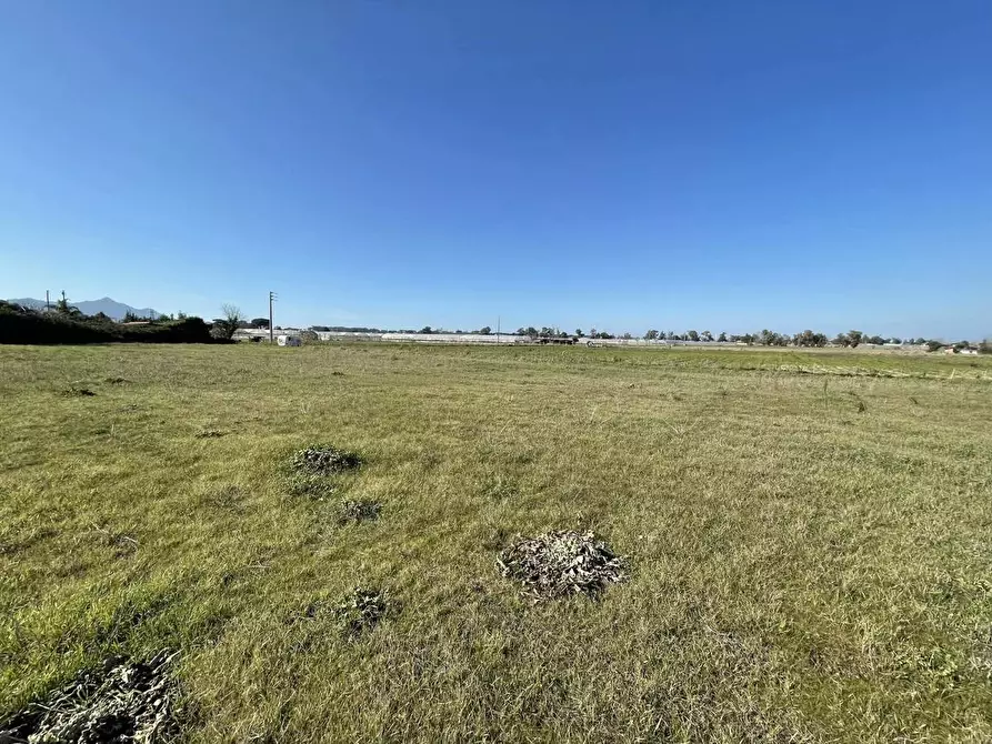 Immagine 8 di Terreno agricolo in vendita  in Via SAN FELICE CIRCEO, 1 a Terracina