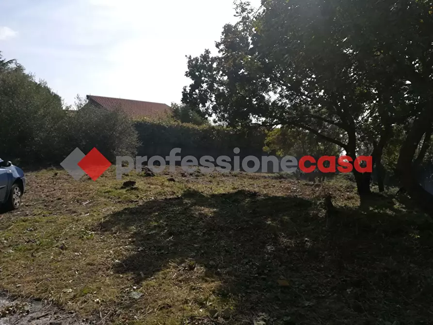 Immagine 10 di Terreno agricolo in vendita  in Contrada Scorsone, SNC a Belpasso
