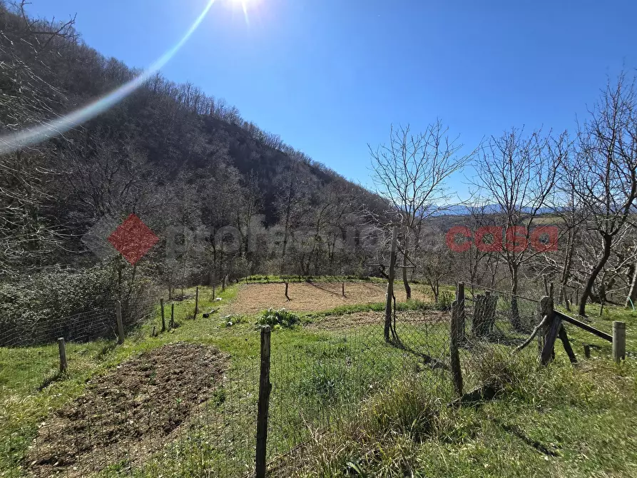 Immagine 12 di Terreno agricolo in vendita  in Via del Cerenaro, snc a Rieti