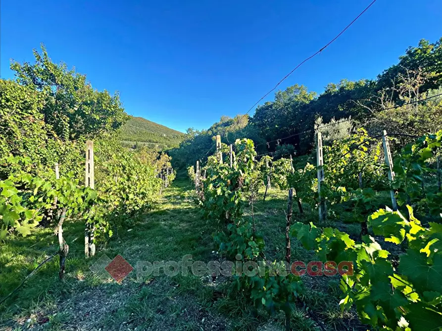 Immagine 1 di Terreno agricolo in vendita  in Via Mariano Bartolucci a Corciano