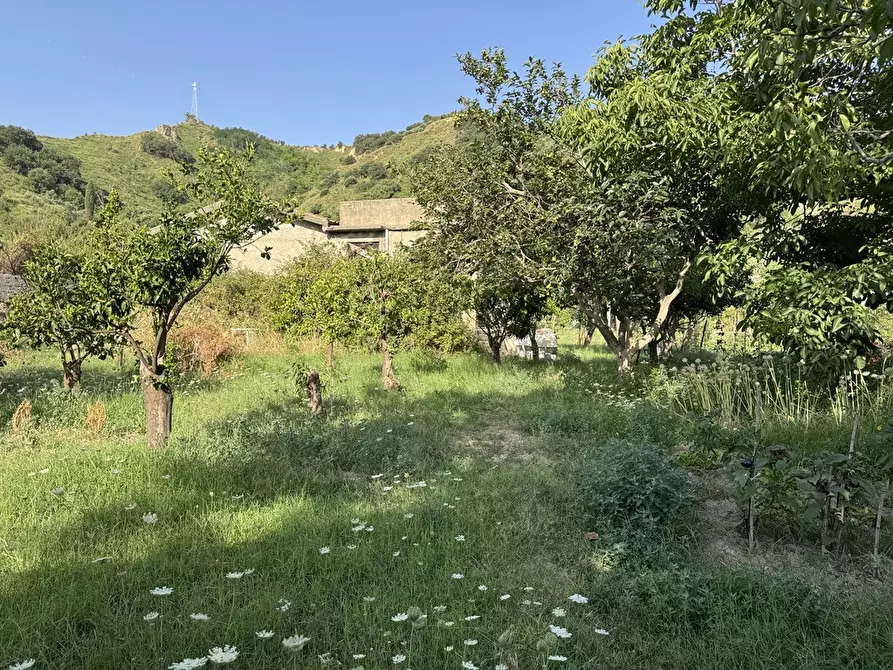 Immagine 7 di Terreno agricolo in vendita  in Strada comunale, snc a Rometta