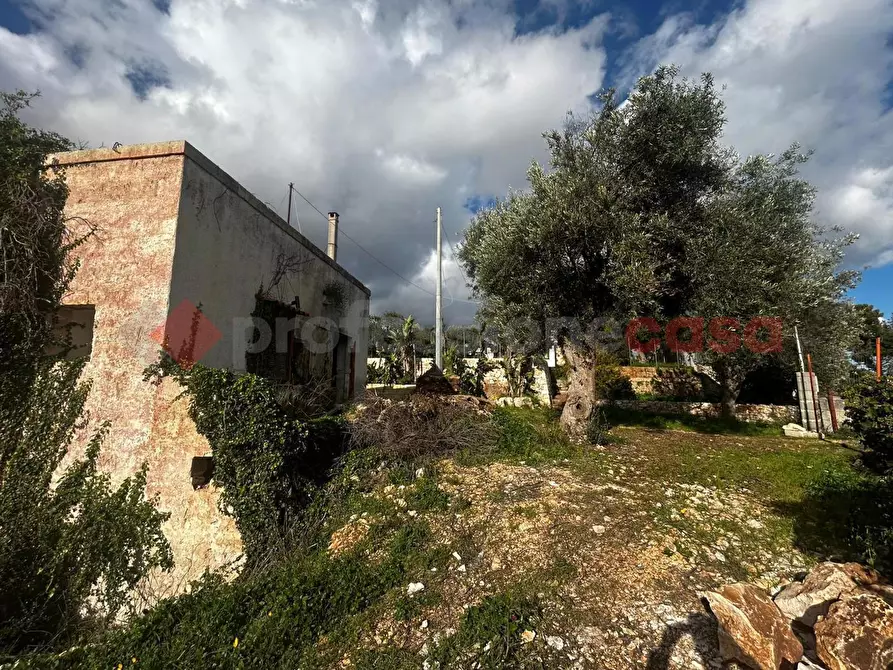 Immagine 6 di Rustico / casale in vendita  in Contrada bellocchio a Monopoli