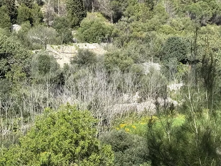 Immagine 8 di Rustico / casale in vendita  in Contrada Petraro, snc a Chiaramonte Gulfi
