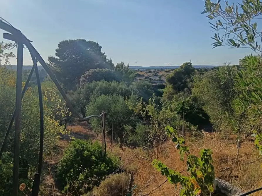 Immagine 10 di Terreno agricolo in vendita  in Strada VICINALE CRISPIANO MONTETERMITI, SNC a Crispiano