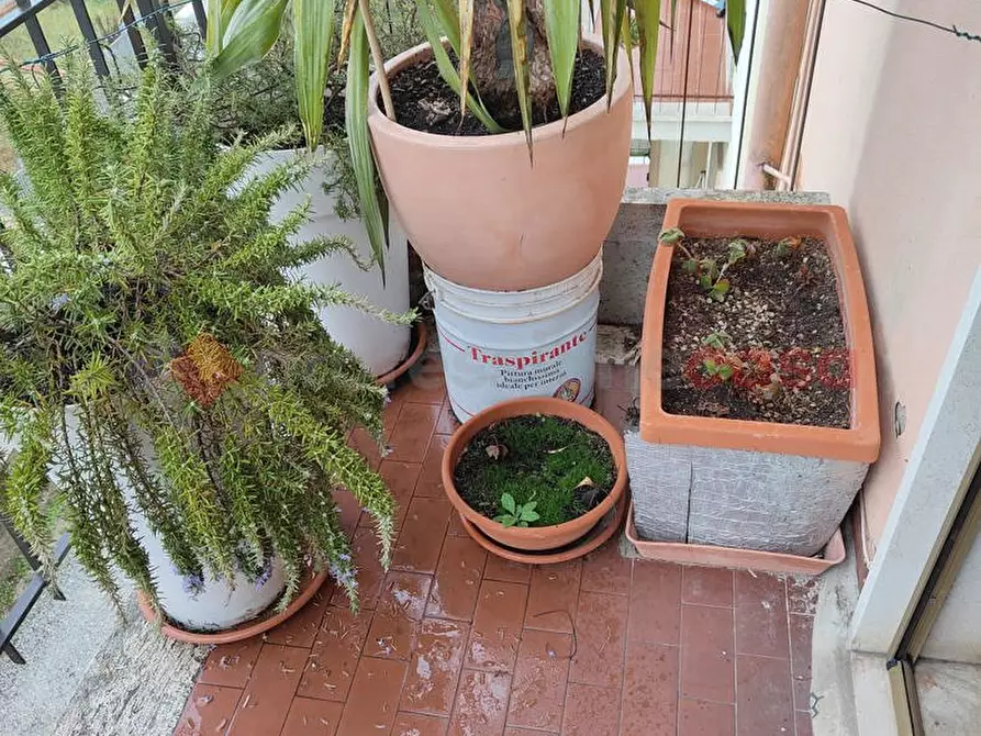 Immagine 36 di Appartamento in vendita  in Via Martiri delle Fosse Ardeatine a Castelfiorentino