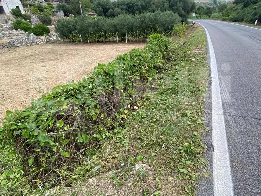 Immagine 25 di Terreno agricolo in vendita  in Via Sant'Agostino, snc a Gaeta