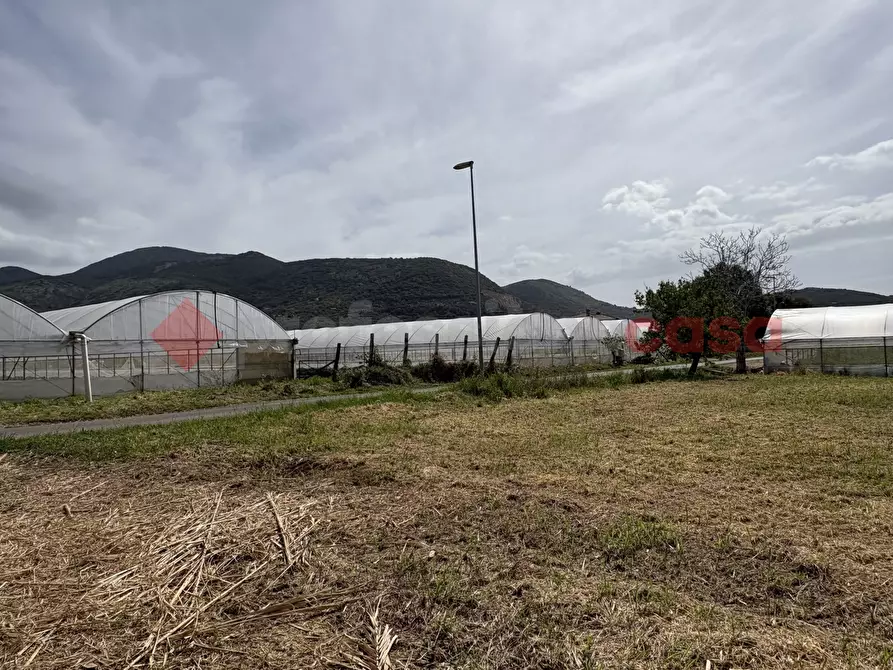 Immagine 13 di Terreno agricolo in vendita  in Via PONTE DI FERRO, 74 a Terracina