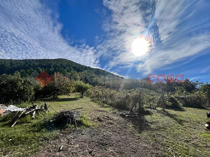 Immagine 19 di Casa trifamiliare in vendita  in LocalitÃ  Bazzano Superiore a Spoleto