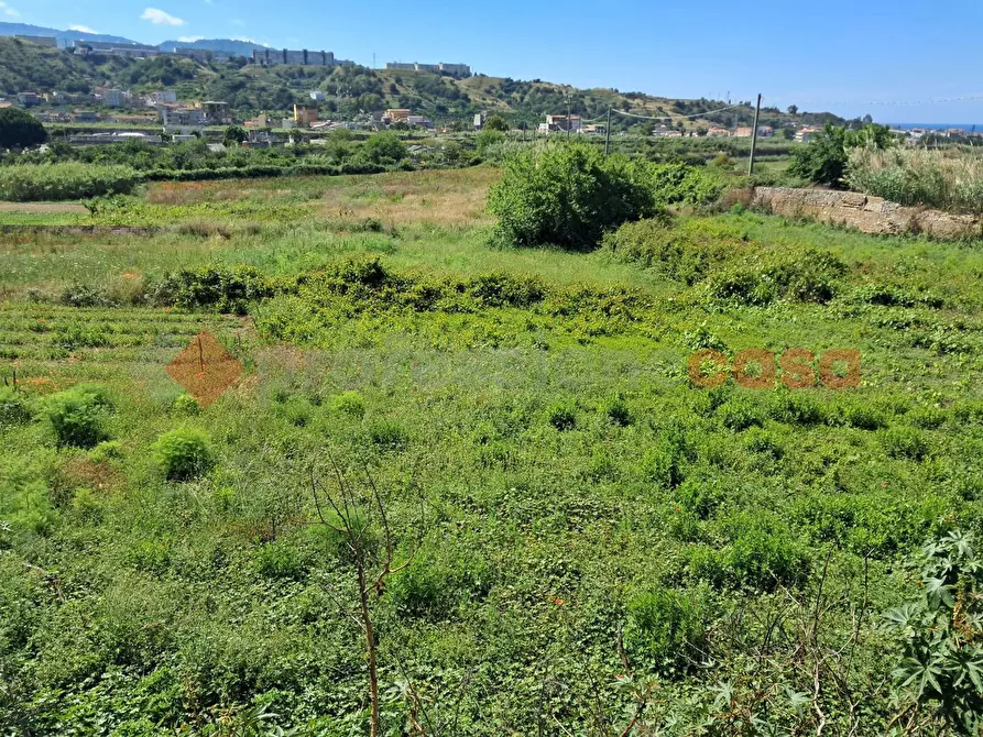 Immagine 6 di Terreno agricolo in vendita  in Via Consortile Catona, 263 a Reggio Di Calabria