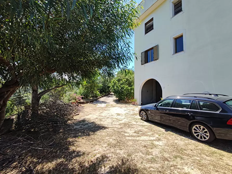 Immagine 3 di Palazzo in vendita  in Via SANTA LUCIA, 41 a Davoli