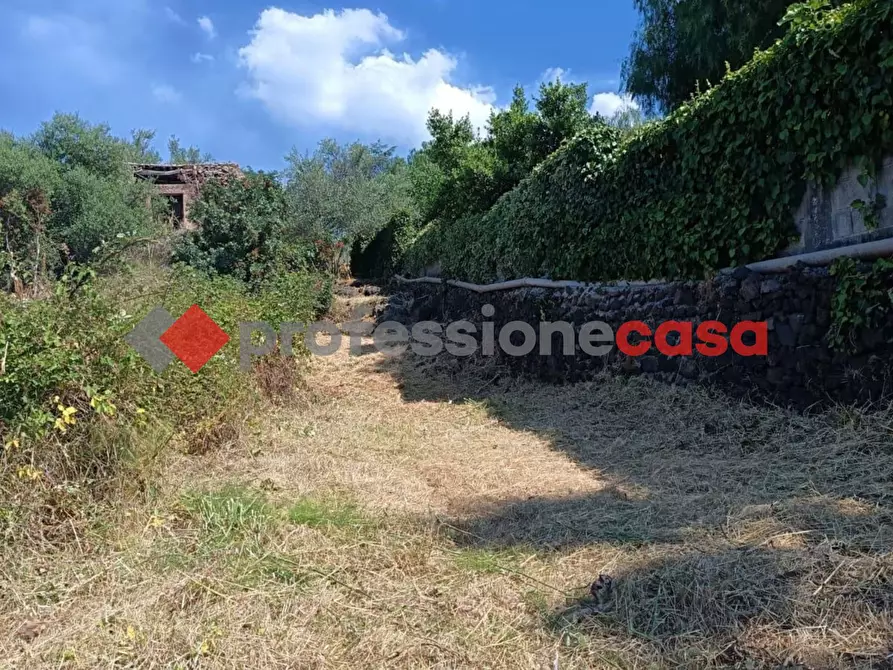 Immagine 2 di Terreno agricolo in vendita  in Via Mediterraneo, 2 a Mascalucia