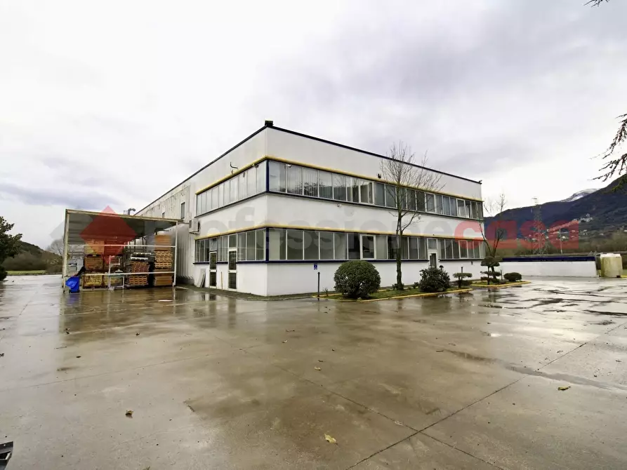 Immagine 41 di Capannone industriale in vendita  in Via Provinciale Morolense, 105 a Morolo