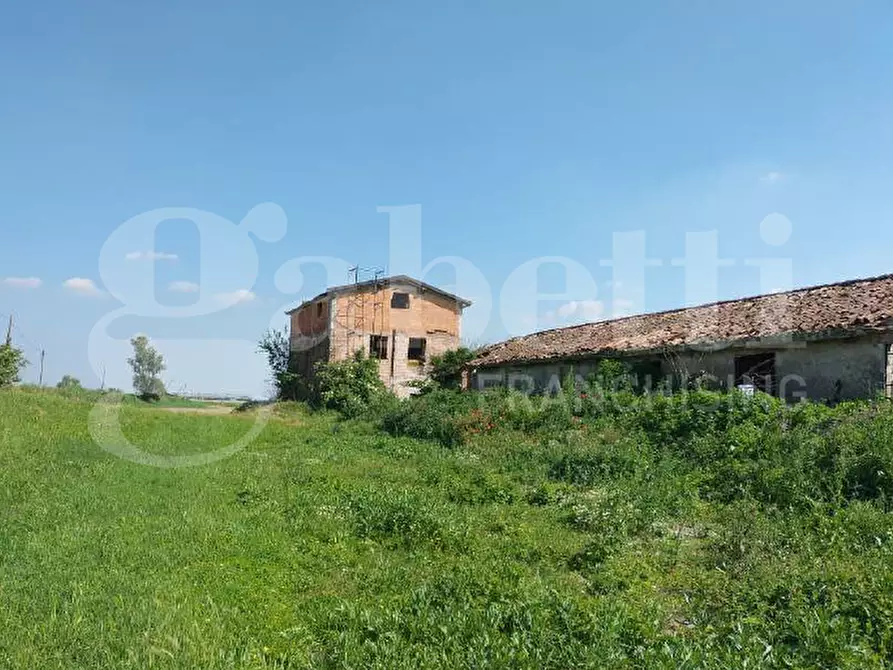 Immagine 13 di Rustico / casale in vendita  in Via Cavarzere, LocalitÃ  Ribasso, 6 a Cavarzere