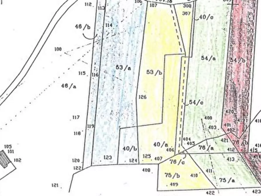 Immagine 12 di Terreno agricolo in vendita  in Via Provinciale di Malmantile a Castelfiorentino