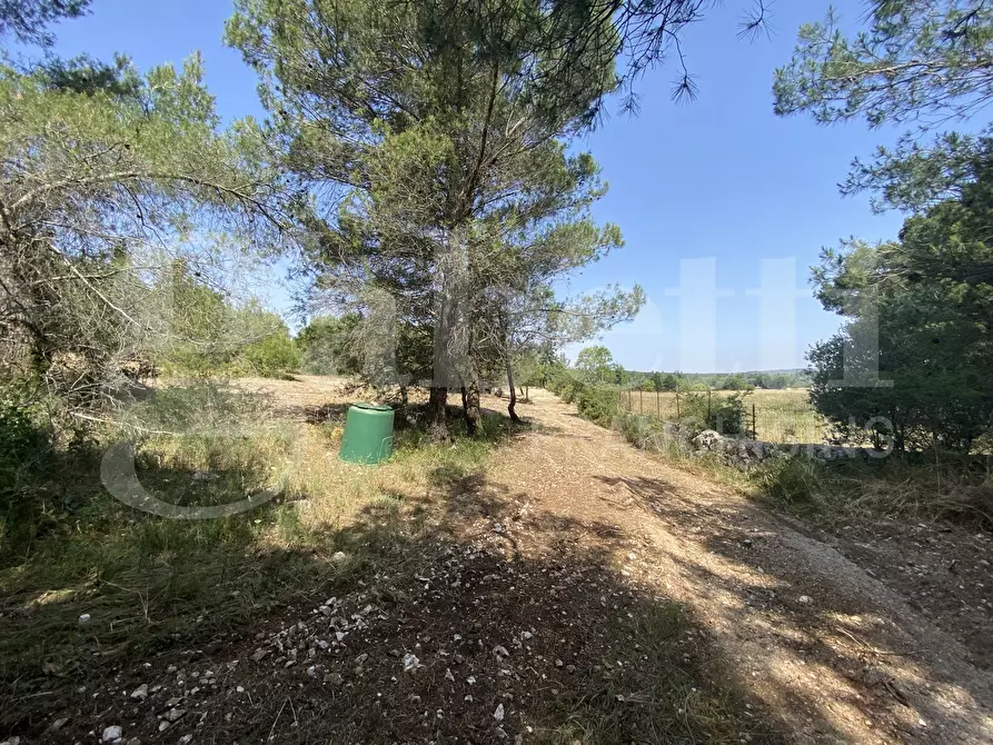 Immagine 34 di Villa in vendita  in Via S.P. 18, 76 a Cassano Delle Murge