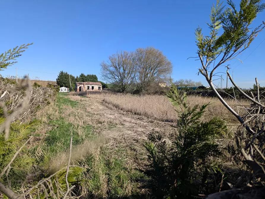 Immagine 3 di Rustico / casale in vendita  in LocalitÃ  Valcerere Dolfina, 00 a Cavarzere