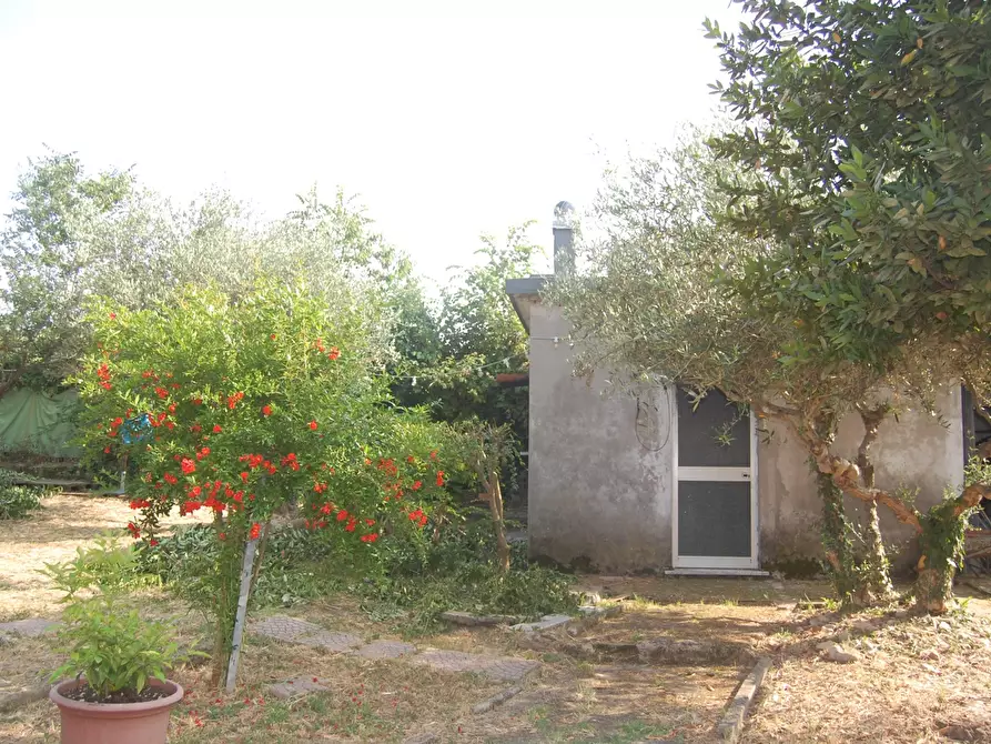 Immagine 29 di Villa in vendita  in Viale CORSICA a Riccione