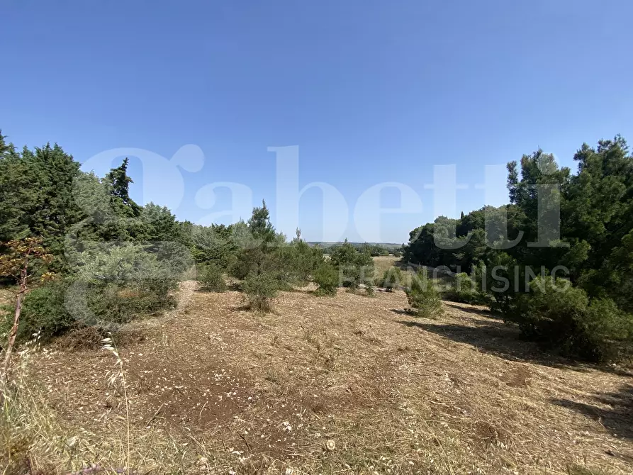 Immagine 36 di Villa in vendita  in Via S.P. 18, 76 a Cassano Delle Murge