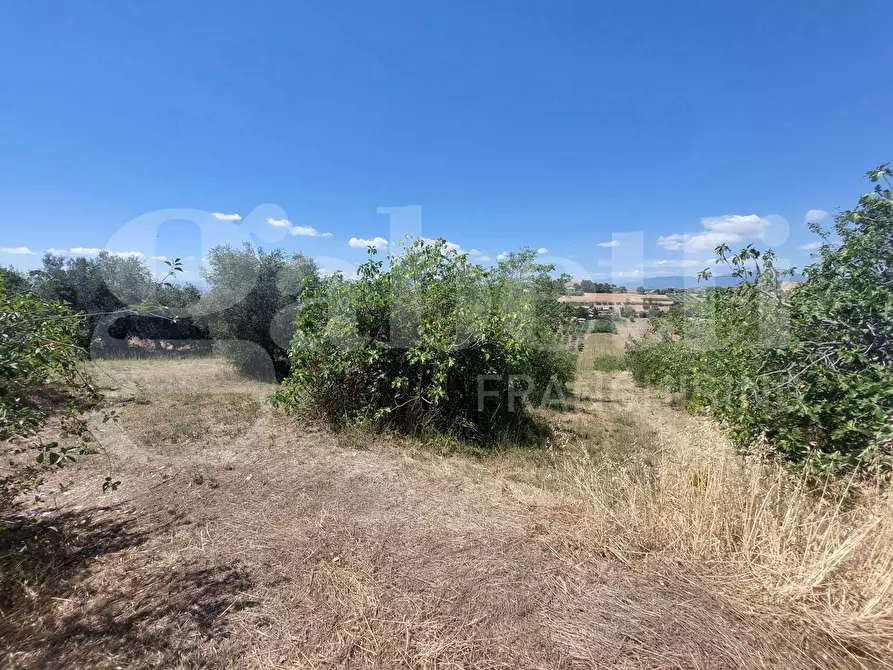 Immagine 1 di Terreno residenziale in vendita  in Via Quaresima, snc a Mosciano Sant'angelo