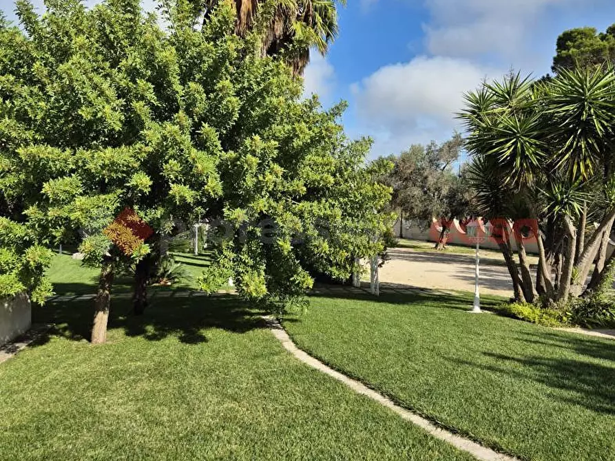 Immagine 32 di Bar / Ristorante in vendita  in Contrada MARTINA, SNC a Latiano