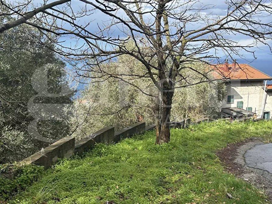 Immagine 9 di Villa in vendita  in Contrada santo stefano, 165/A a Gioiosa Marea