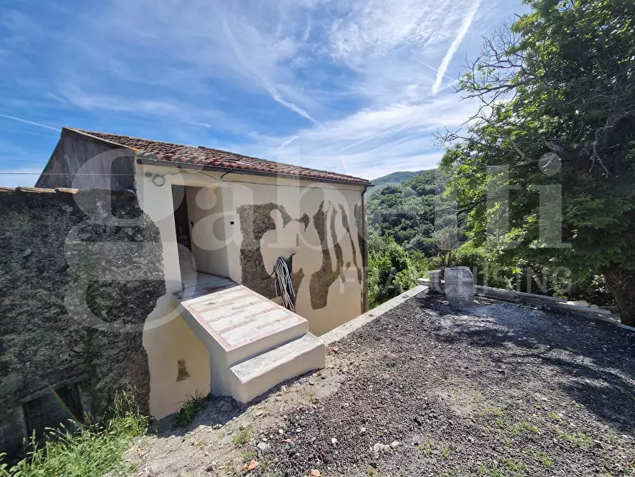 Immagine 18 di Appartamento in vendita  in Via Costa a Calice Ligure