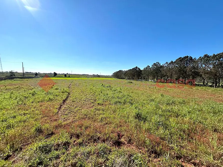 Immagine 10 di Terreno residenziale in vendita  in Via Prov.le Poggiardo-Spongano a Poggiardo