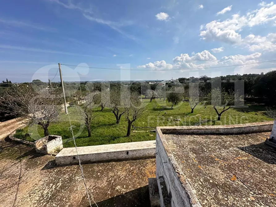 Immagine 18 di Villa in vendita  in Contrada Salinola, sn a Ostuni