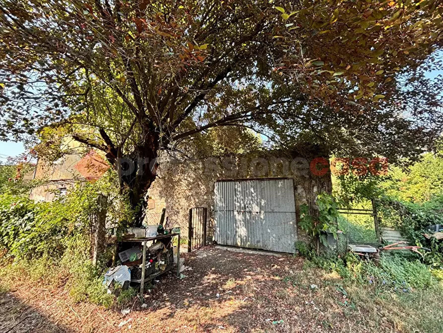 Immagine 3 di Casa indipendente in vendita  in Via castellaccio, 57 a Paliano