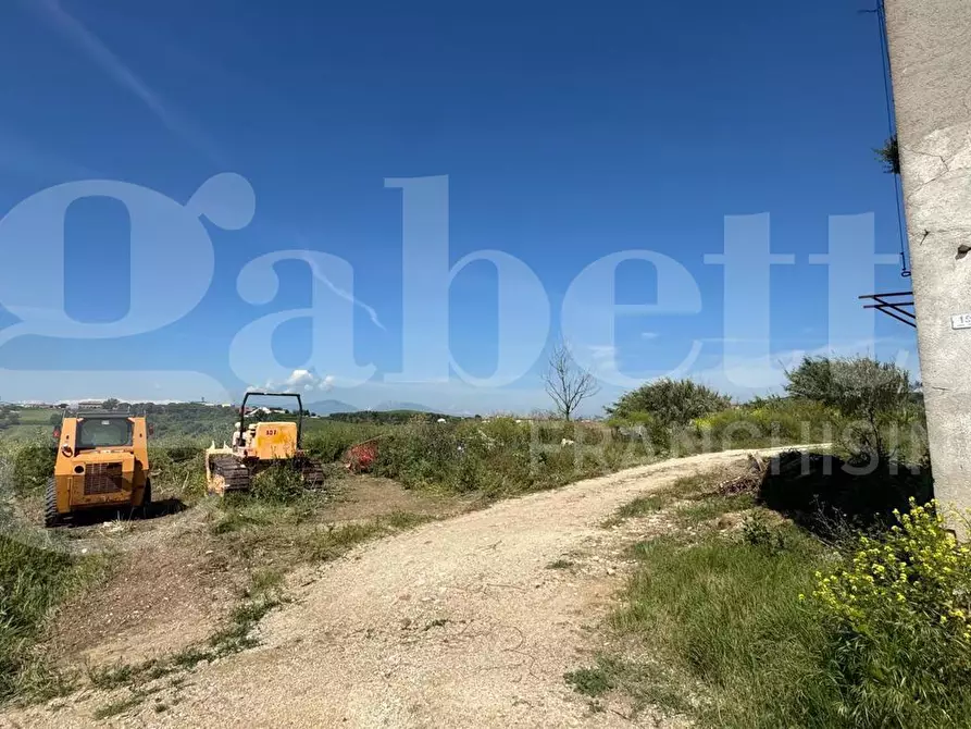 Immagine 6 di Terreno agricolo in vendita  in LocalitÃ  Centovie, 0 a Roseto Degli Abruzzi